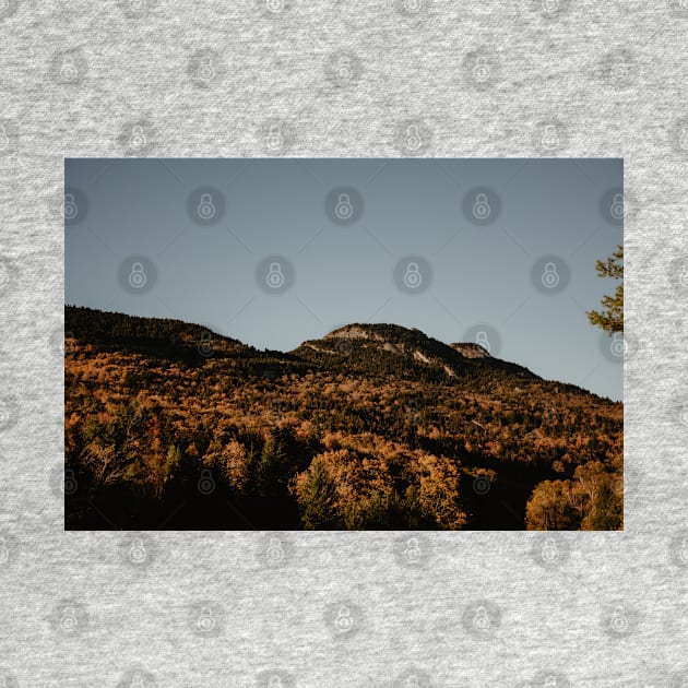 Fall View of Grandfather Mountain by LindsayVaughn